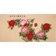 Peony - CNAG003271