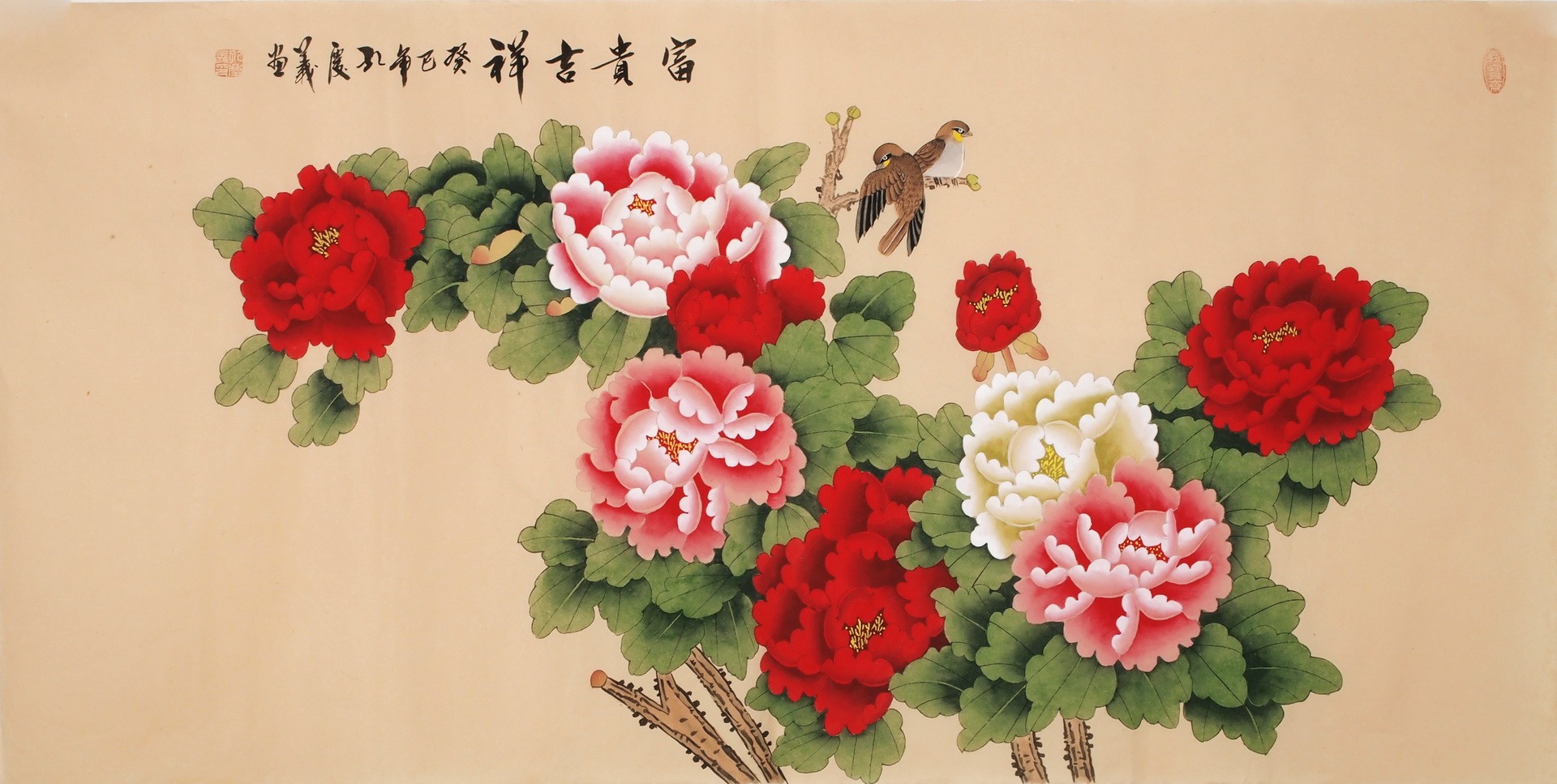 Peony - CNAG003271