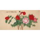 Peony - CNAG003272