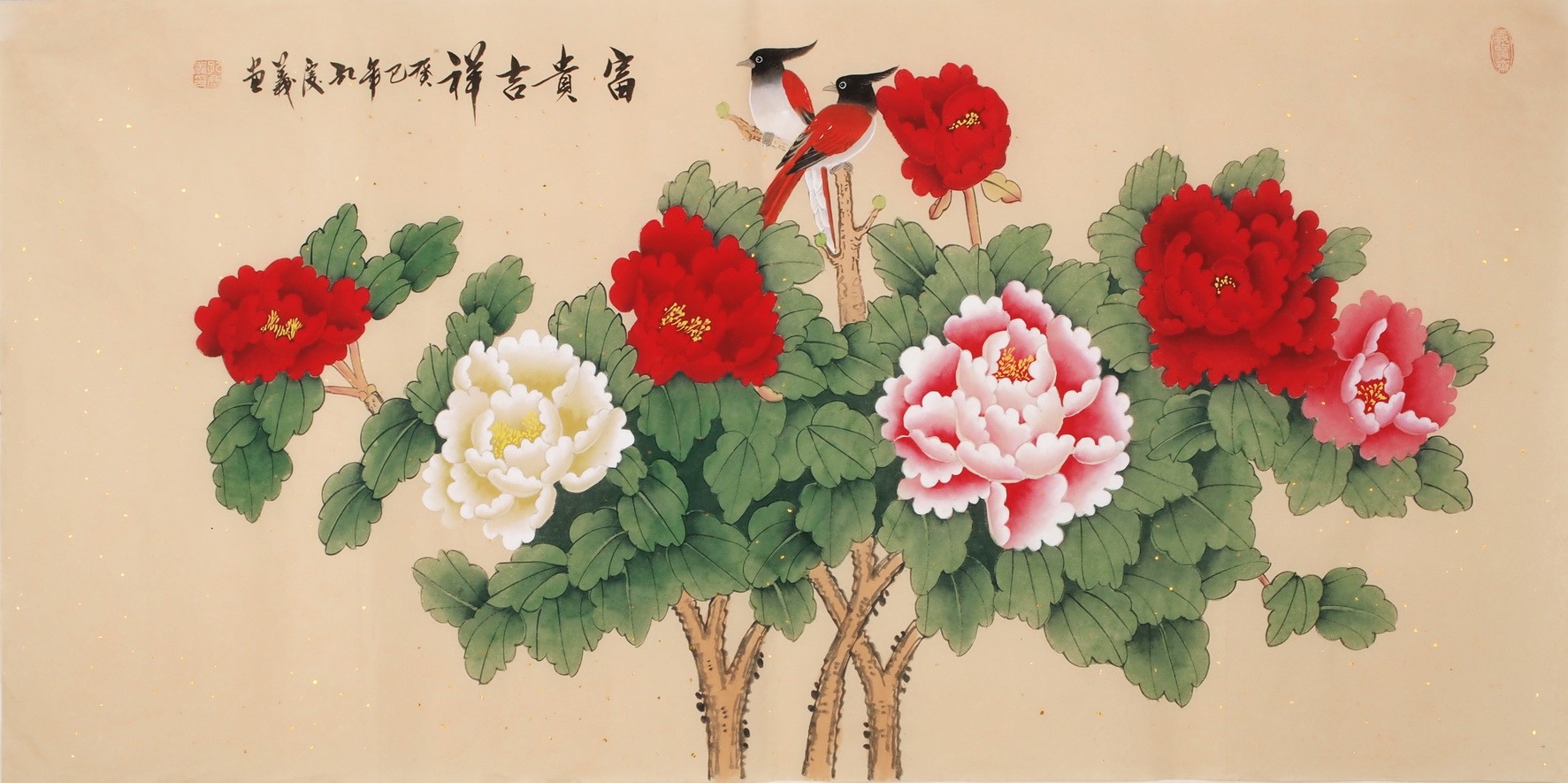 Peony - CNAG003272