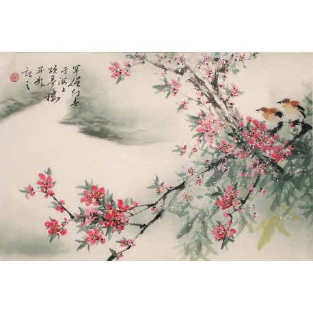 Peach Blossom - CNAG003275