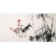 Chicken - CNAG003286
