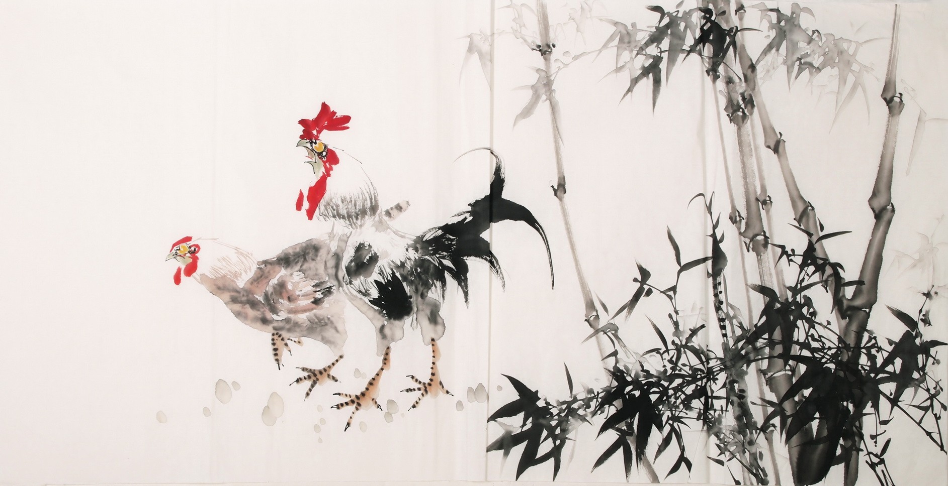 Chicken - CNAG003286