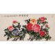 Peony - CNAG003293
