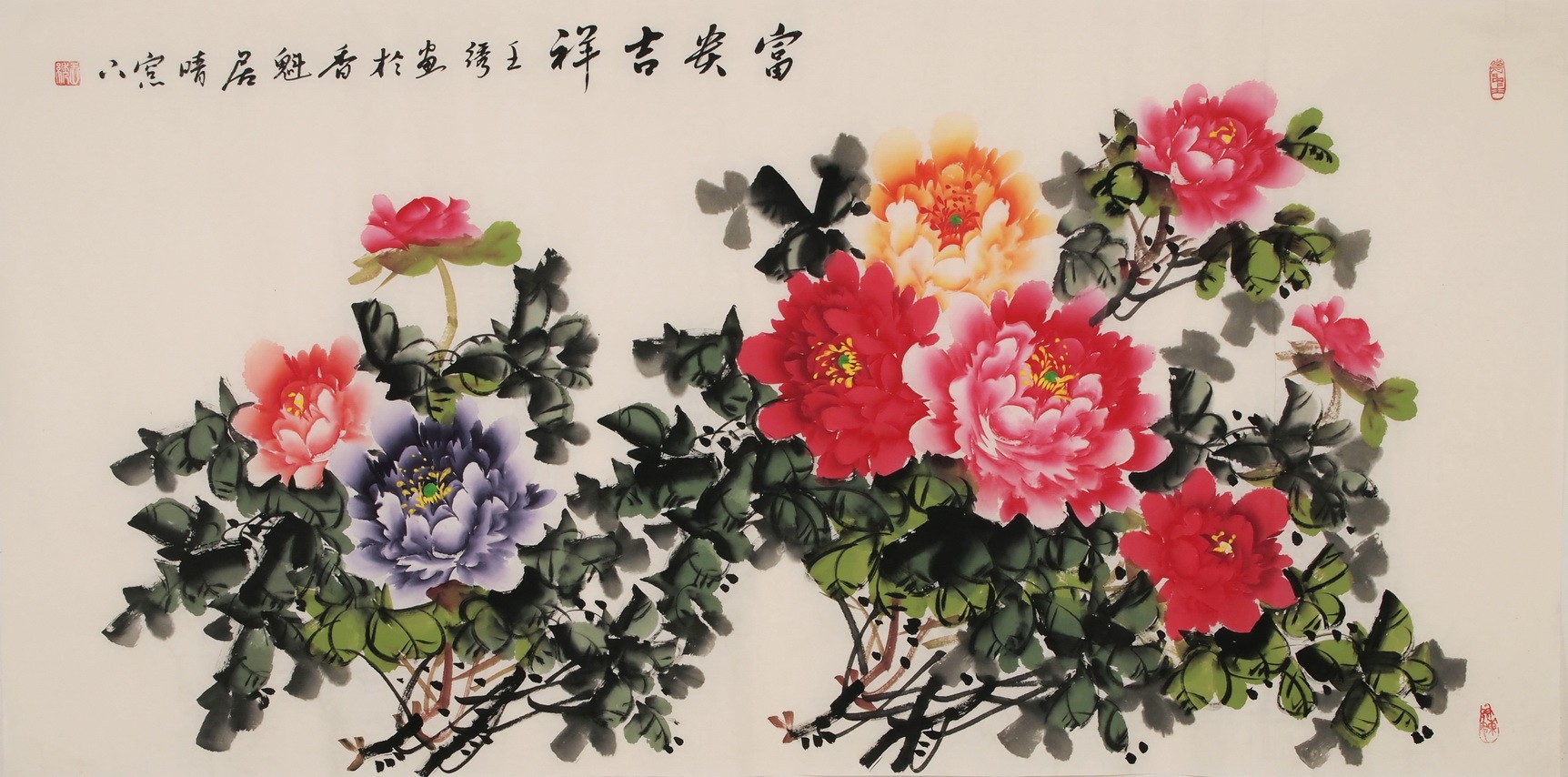 Peony - CNAG003293