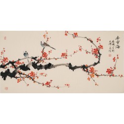Plum - CNAG003294