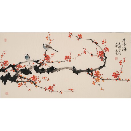 Plum - CNAG003294
