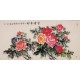 Peony - CNAG003295
