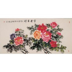 Peony - CNAG003295