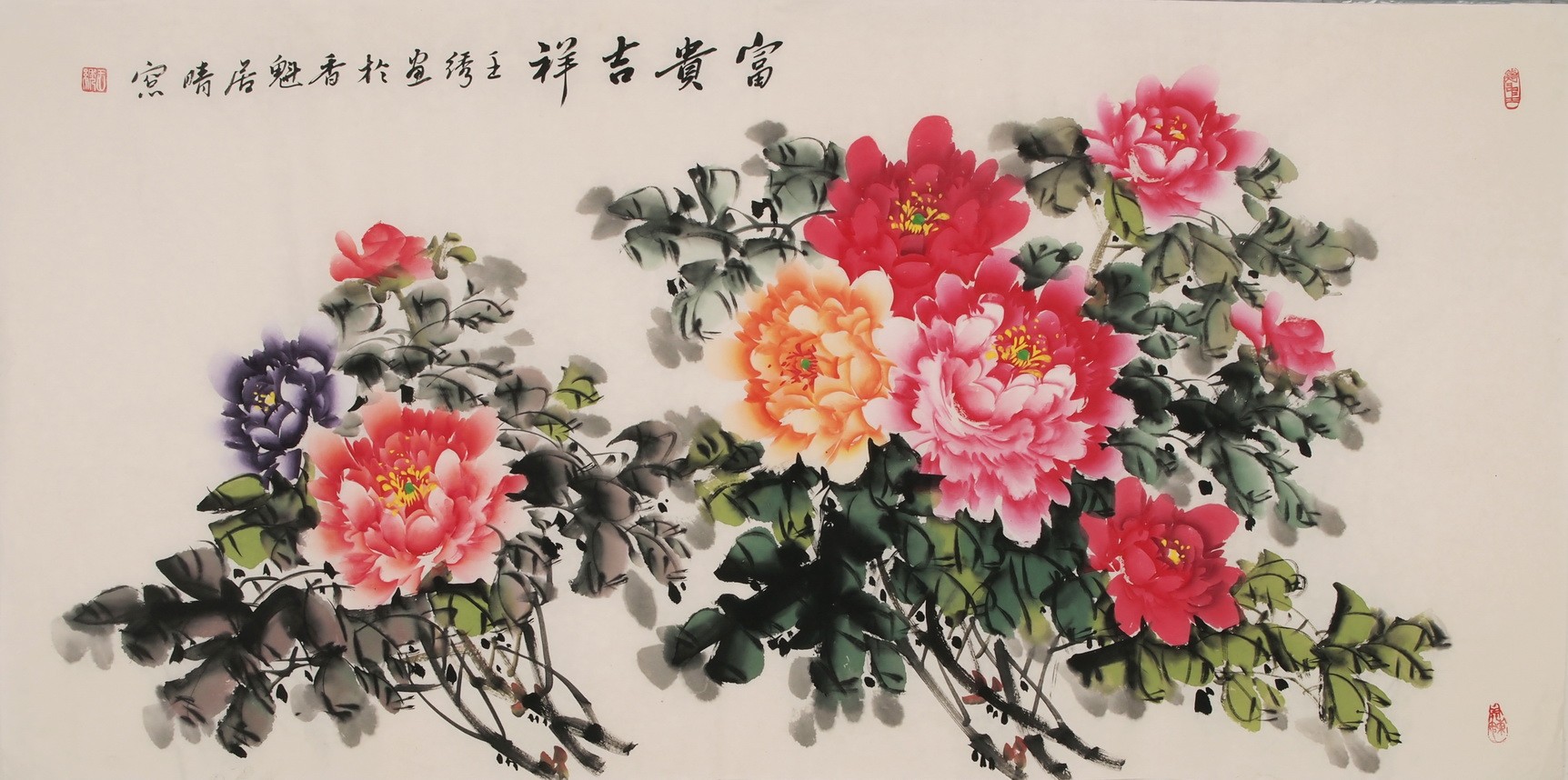 Peony - CNAG003295