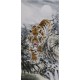 Tiger - CNAG000033