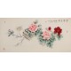 Peony - CNAG003308