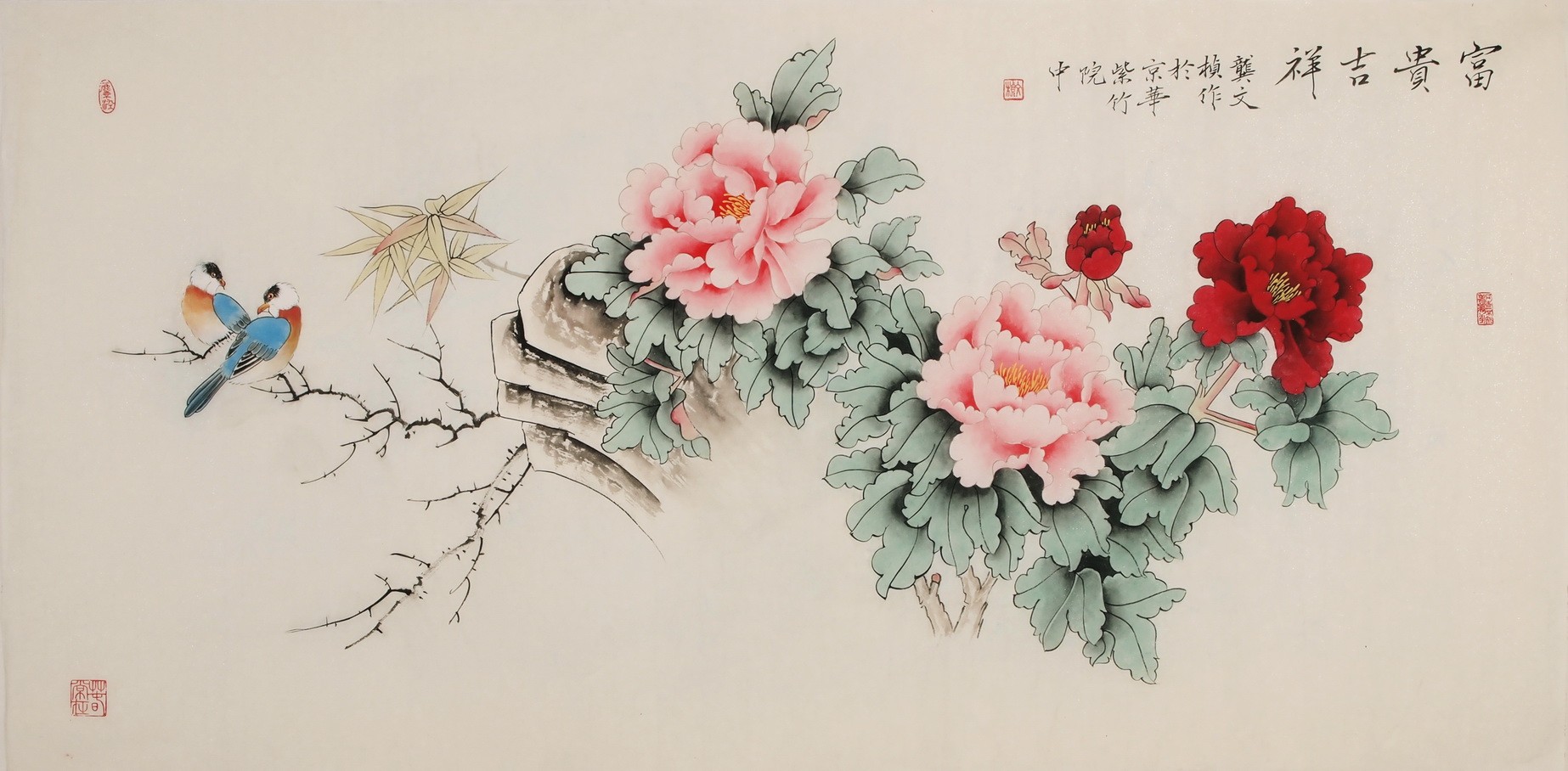 Peony - CNAG003308