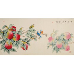 Peach Blossom - CNAG003309