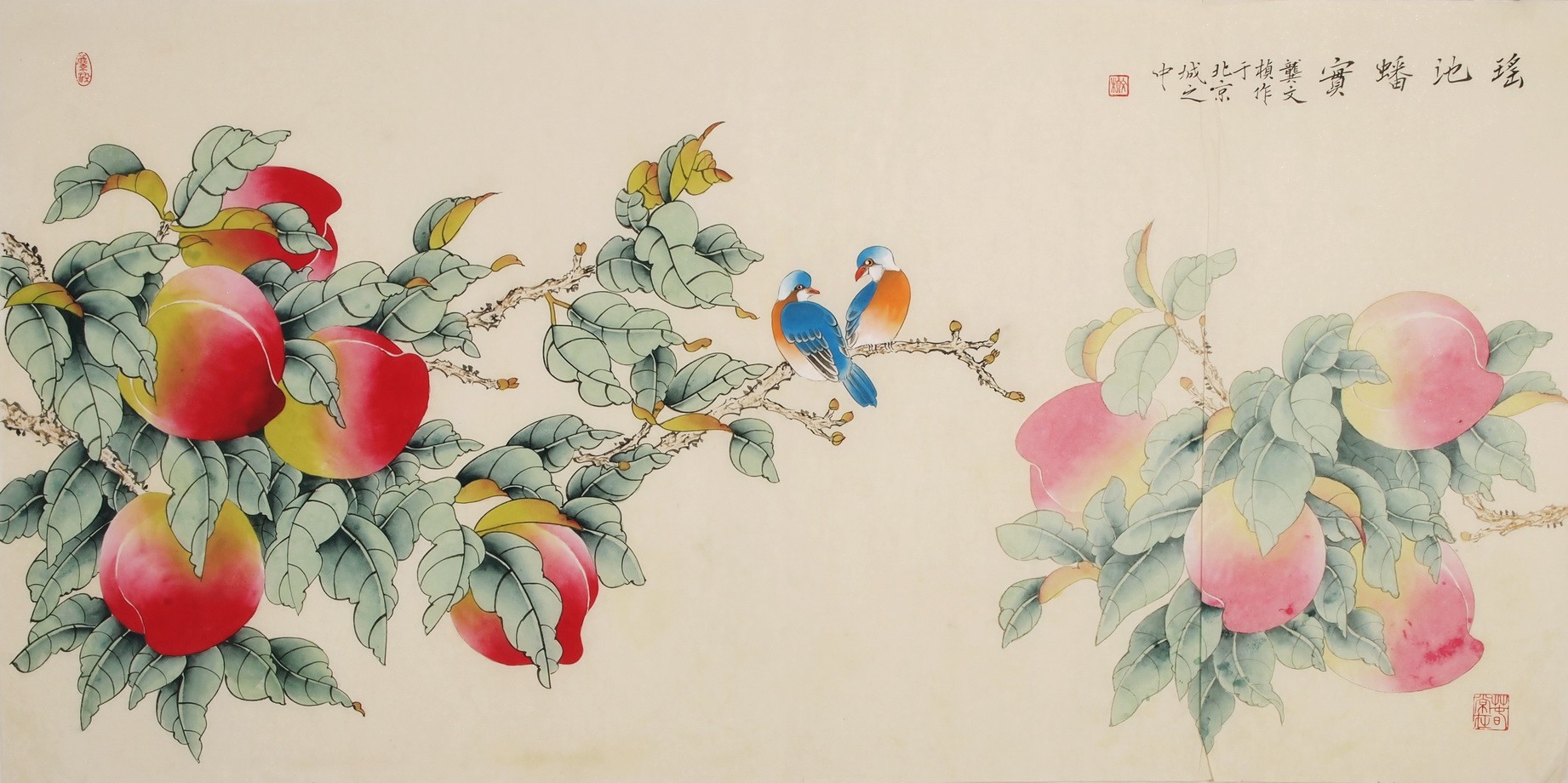 Peach Blossom - CNAG003309