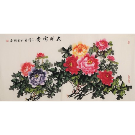 Peony - CNAG003317