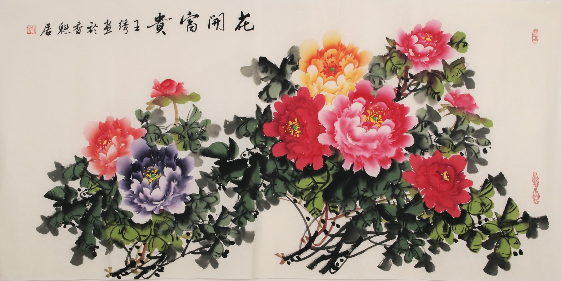 Peony - CNAG003317