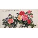 Peony - CNAG003325