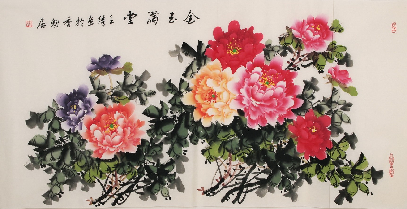 Peony - CNAG003325