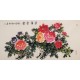 Peony - CNAG003326