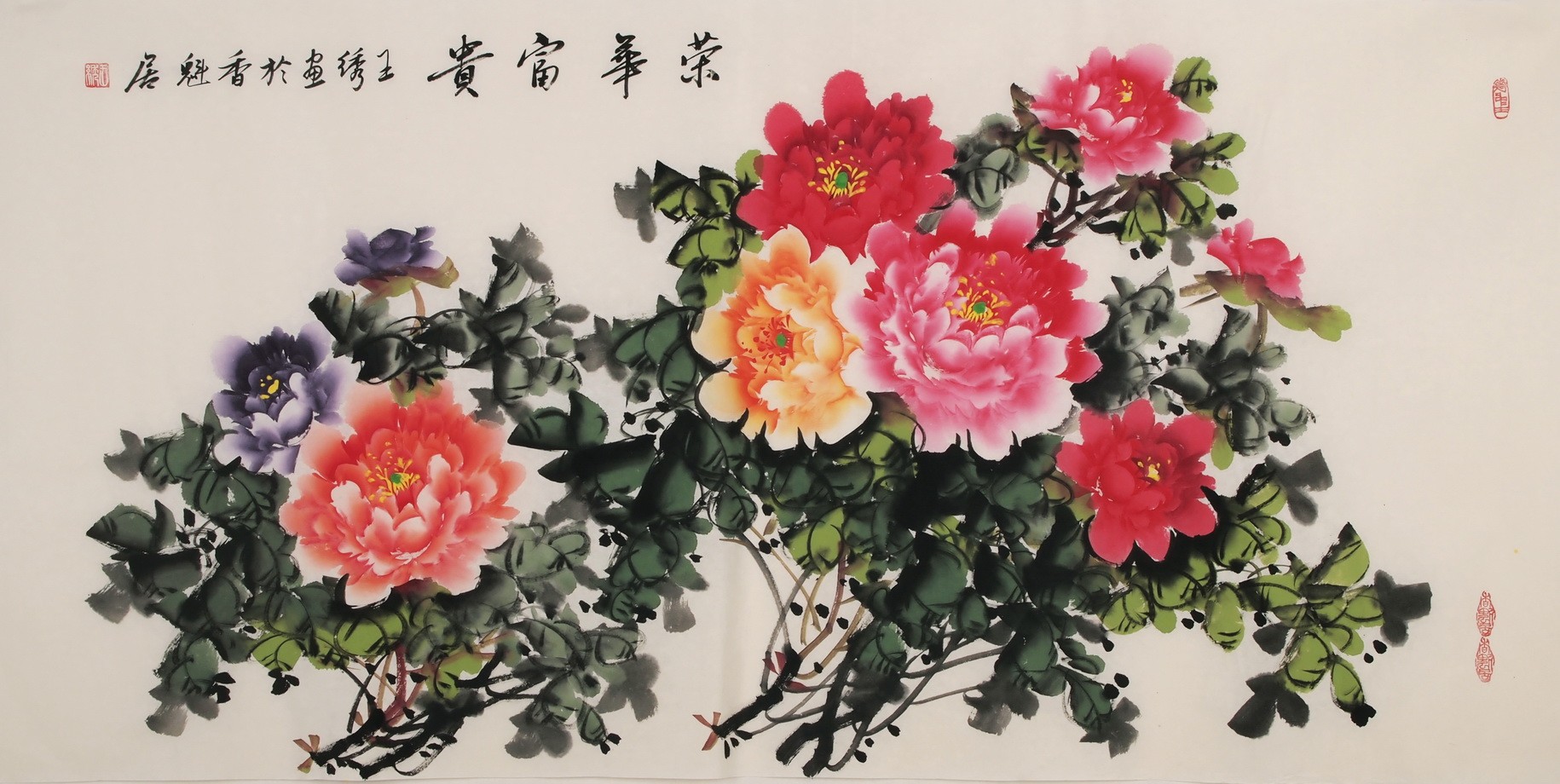 Peony - CNAG003326