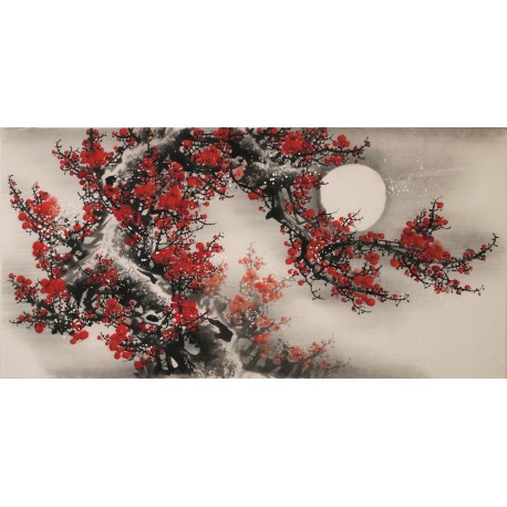 Plum - CNAG003350