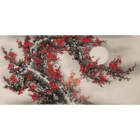 Plum - CNAG003351