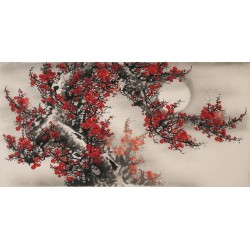 Plum - CNAG003352