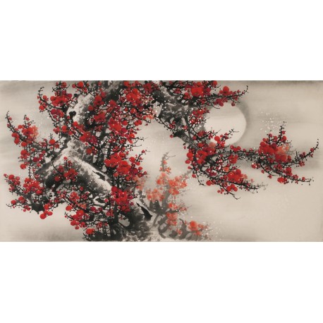 Plum - CNAG003352