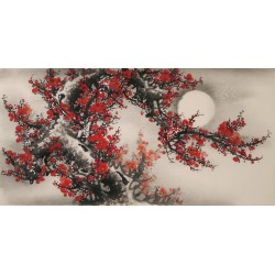 Plum - CNAG003353