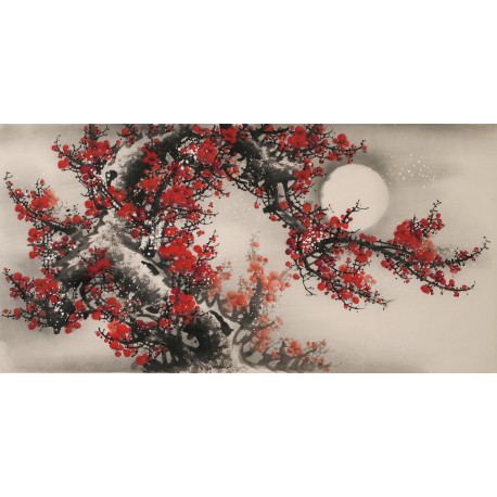 Plum - CNAG003353