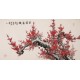 Plum - CNAG003356