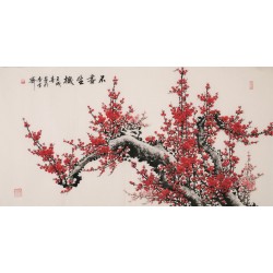 Plum - CNAG003356