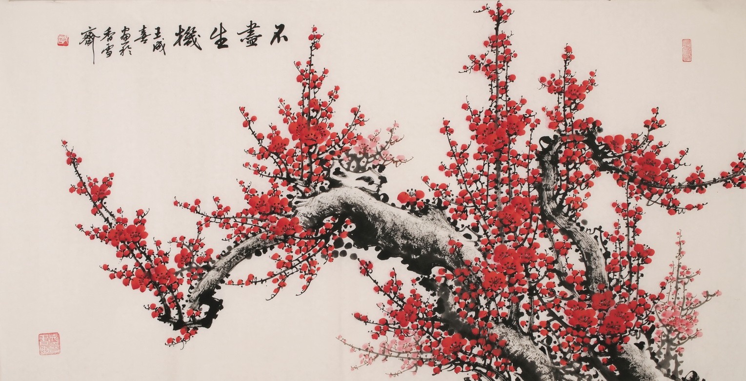 Plum - CNAG003356