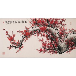 Plum - CNAG003358