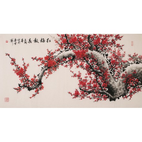 Plum - CNAG003358