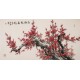 Plum - CNAG003361