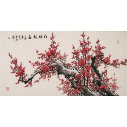 Plum - CNAG003361