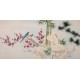 Other Birds - CNAG003362
