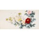 Peony - CNAG003363