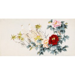 Peony - CNAG003363