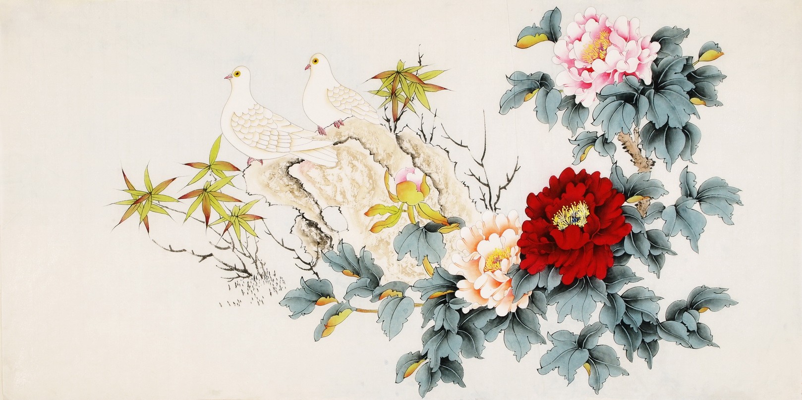 Peony - CNAG003363