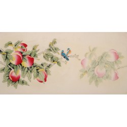 Other Birds - CNAG003368