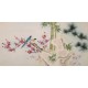 Other Birds - CNAG003371