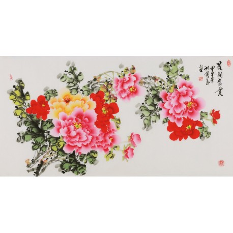 Peony - CNAG003397