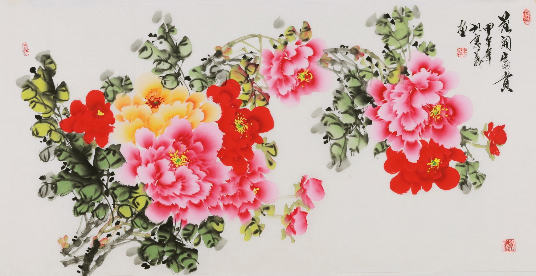 Peony - CNAG003397