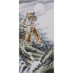 Tiger - CNAG000034
