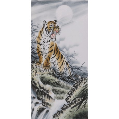 Tiger - CNAG000034