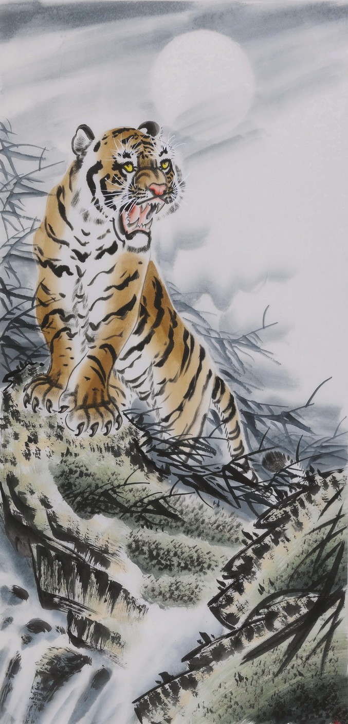 Tiger - CNAG000034