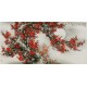 Plum - CNAG003398